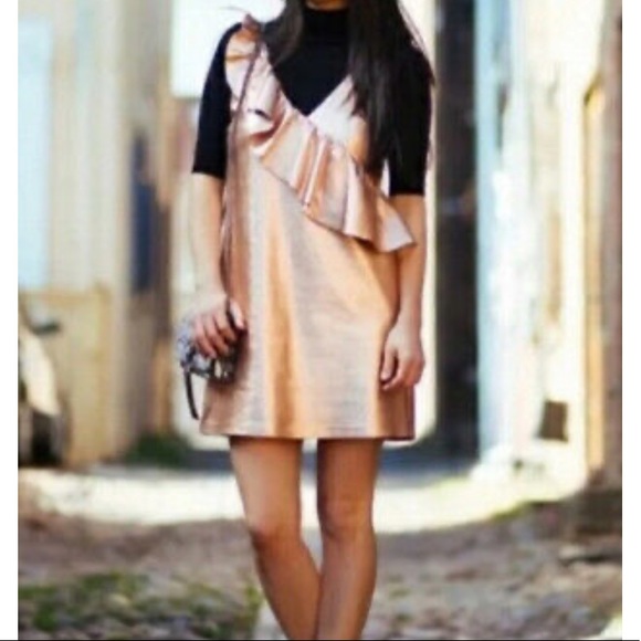 Zara Metallic Ruffle Mini Dress- Rose Gold - Picture 5 of 10